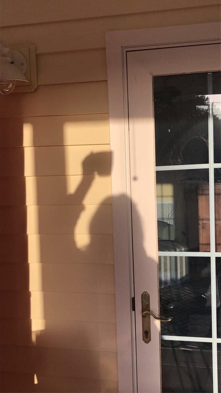 Soft light on wall and door